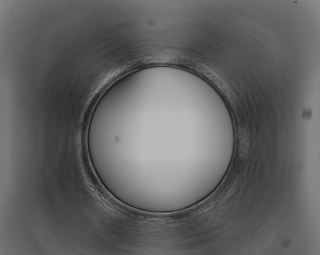X0000094900482200711291026