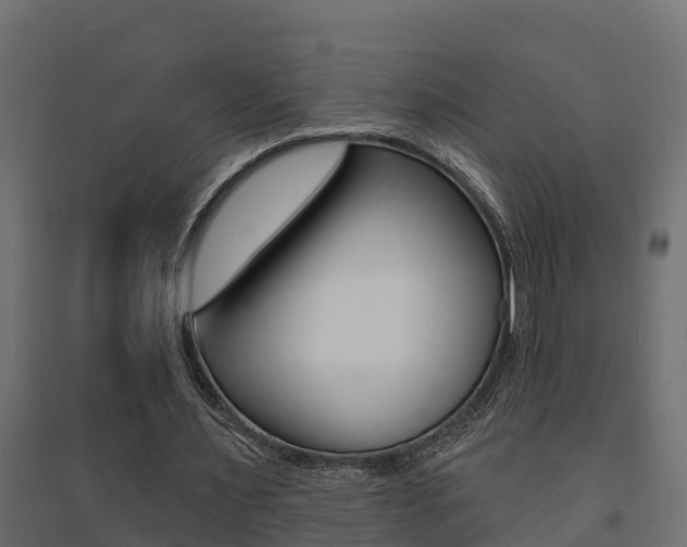 X0000094900483200711291026