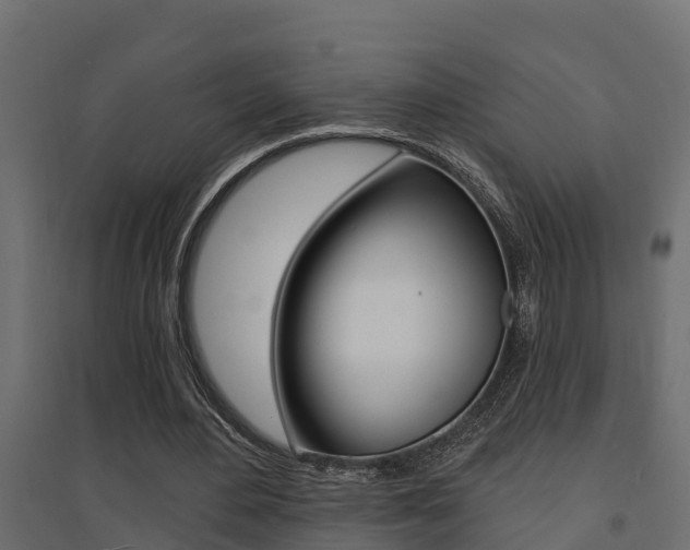 X0000094900484200711291026