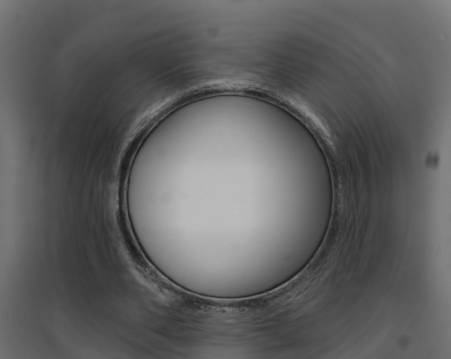 X0000094900486200711291026