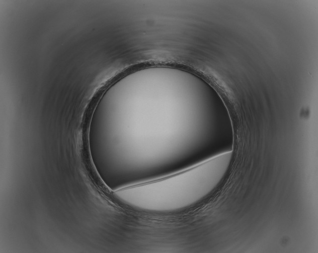 X0000094900488200711291026