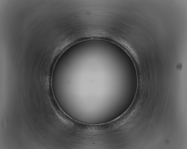 X0000094900489200711291026