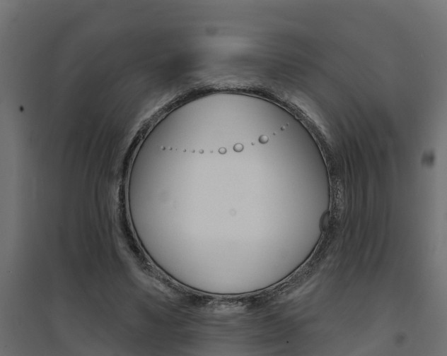 X0000094900491200711291026