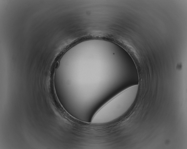 X0000094900492200711291026