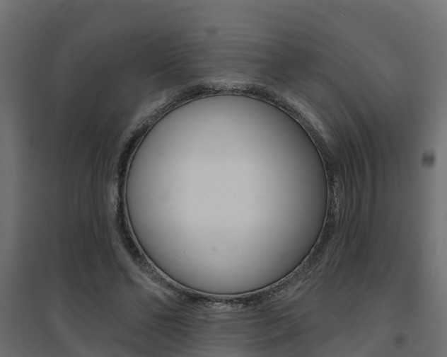 X0000094900494200711291026