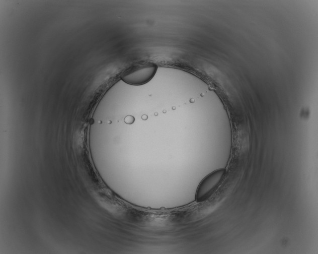 X0000094900495200711291026