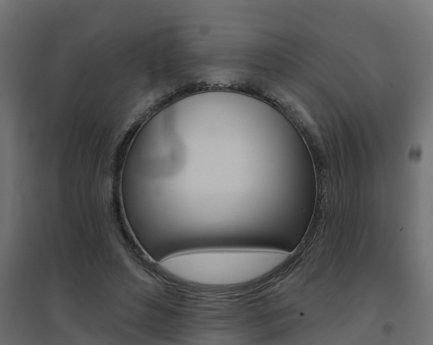 X0000094900496200711291026