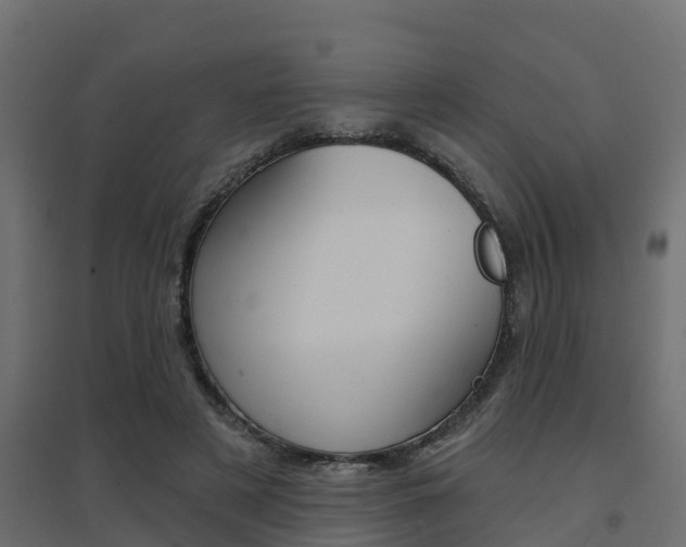 X0000094900497200711291026