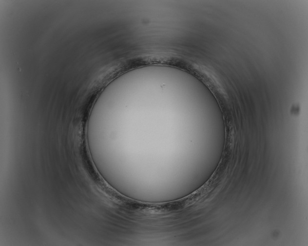 X0000094900498200711291026
