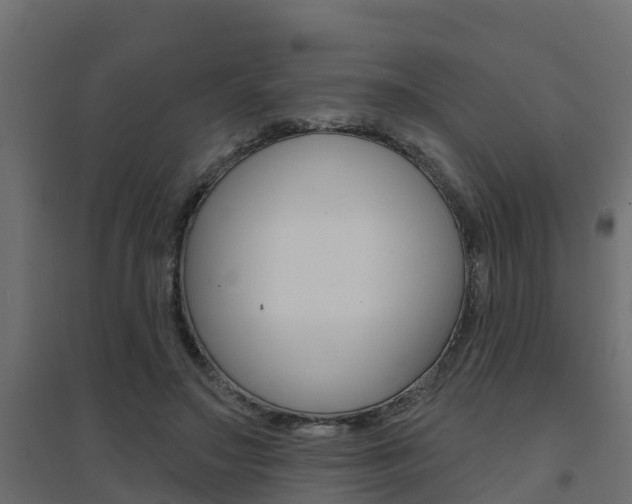 X0000094900499200711291026