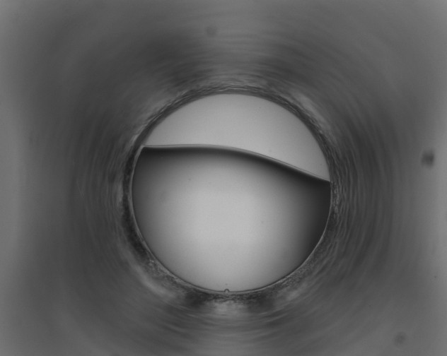 X0000094900500200711291026