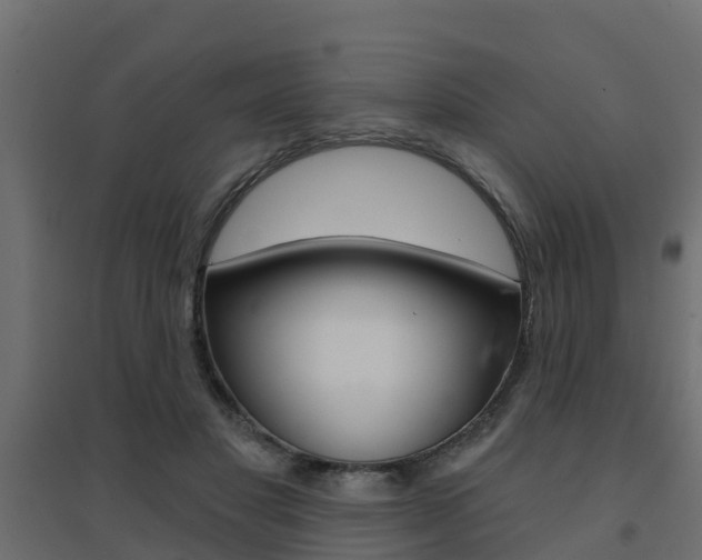 X0000094900501200711291026