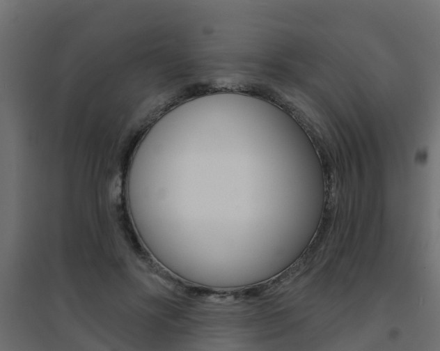 X0000094900502200711291026