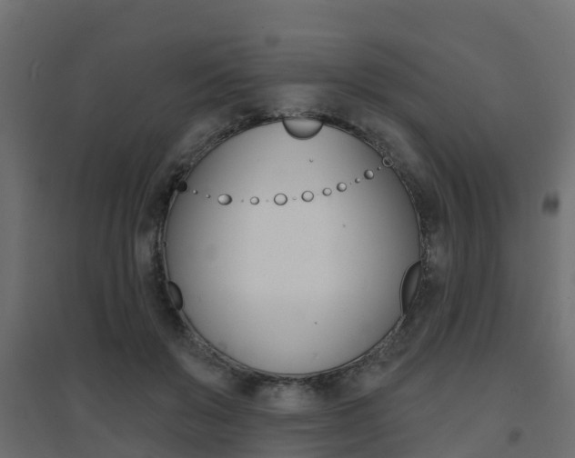 X0000094900503200711291026