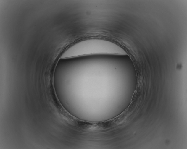 X0000094900504200711291026