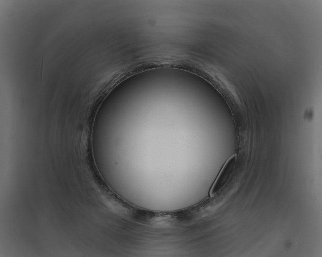X0000094900505200711291026