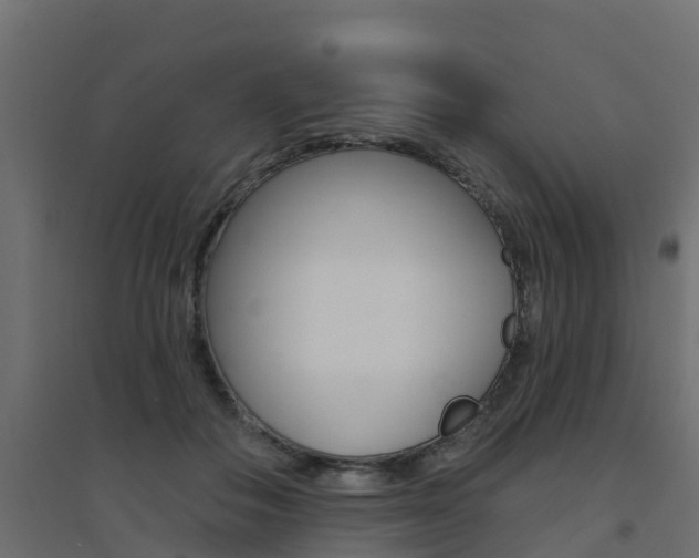 X0000094900506200711291026