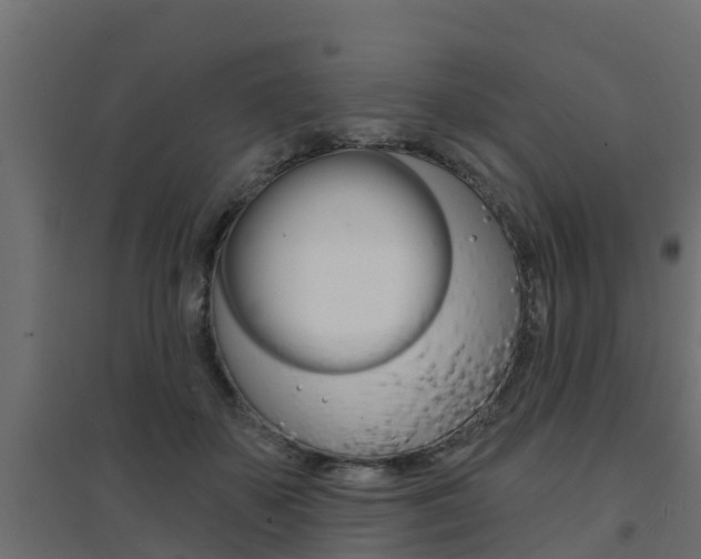 X0000094900507200711291026