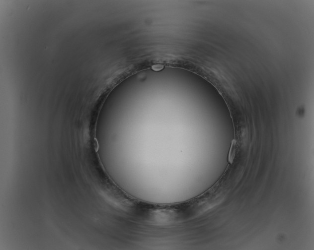X0000094900508200711291026