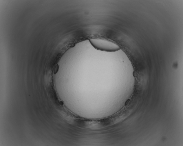 X0000094900511200711291026