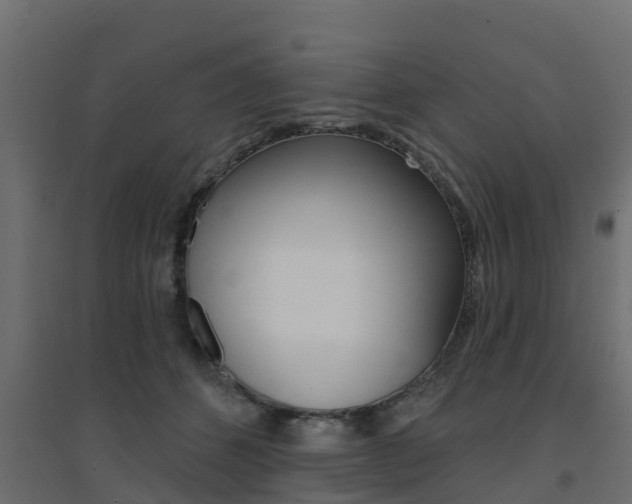 X0000094900512200711291026