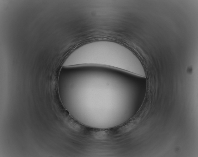 X0000094900513200711291026