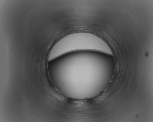 X0000094900516200711291026