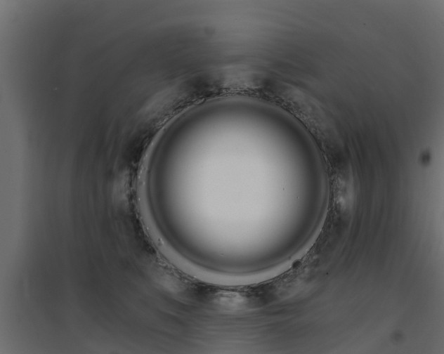 X0000094900519200711291026