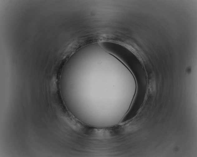 X0000094900520200711291026