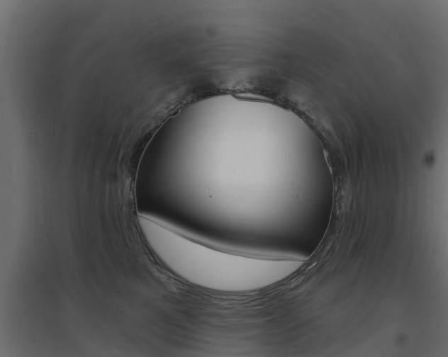 X0000094900521200711291026