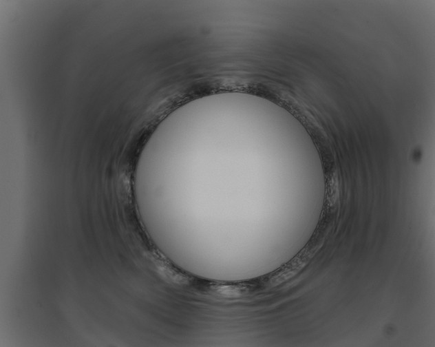 X0000094900522200711291026