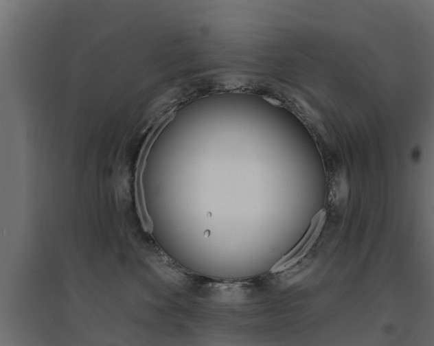 X0000094900524200711291026