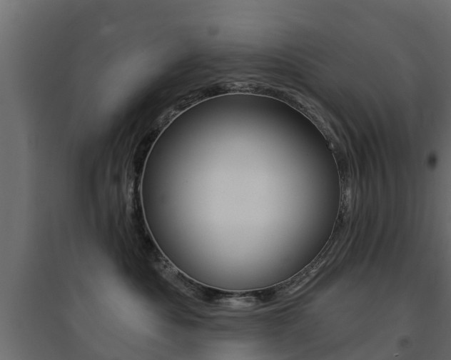 X0000094900525200711291026