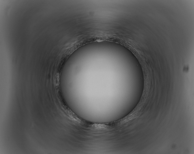 X0000094900528200711291026