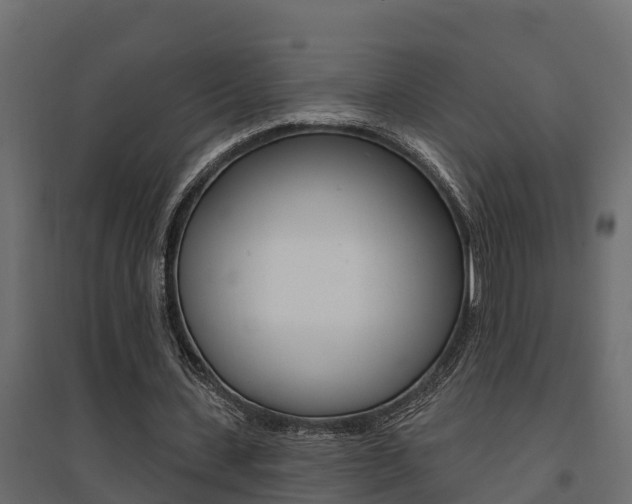 X0000094900531200711291025