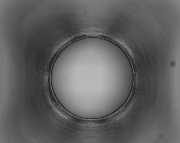 X0000094900533200711291025
