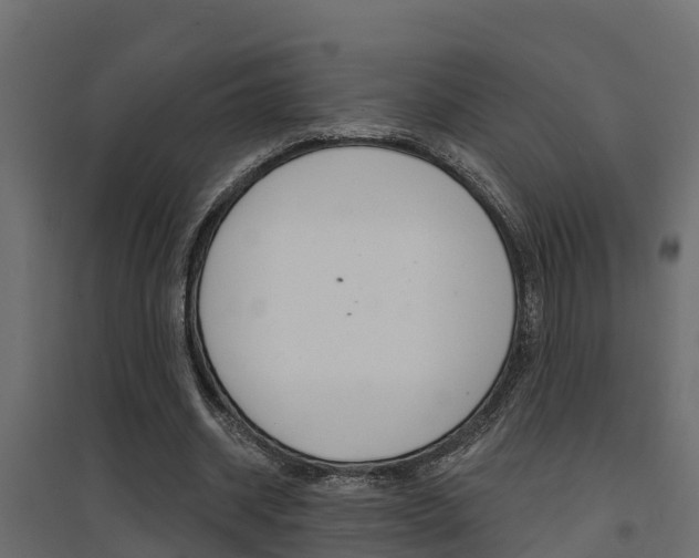 X0000094900534200711291025