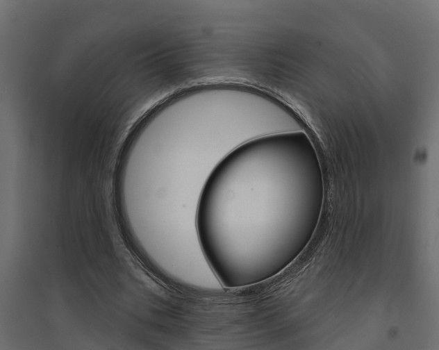 X0000094900535200711291025