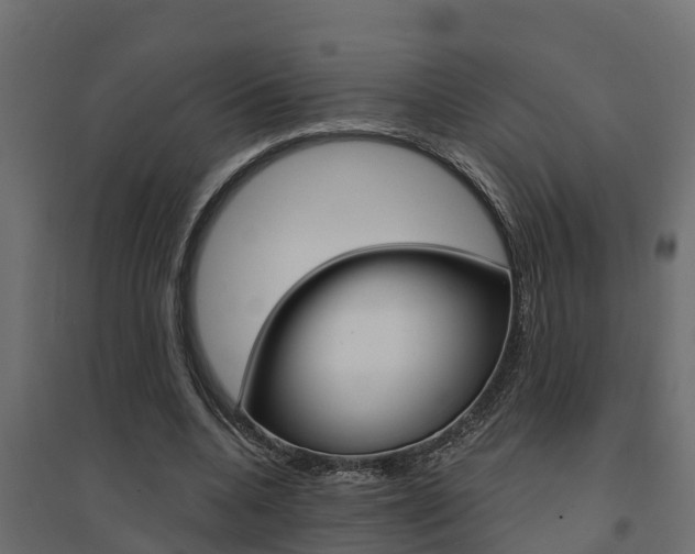 X0000094900536200711291025
