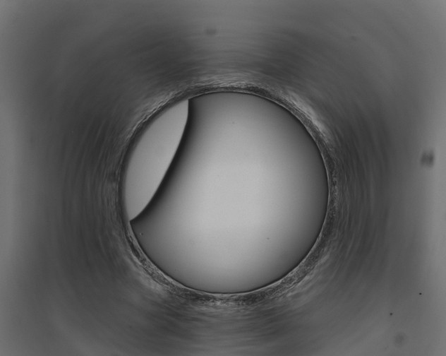 X0000094900537200711291025