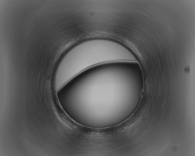 X0000094900538200711291025