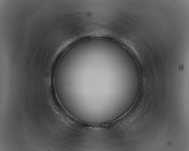 X0000094900539200711291025