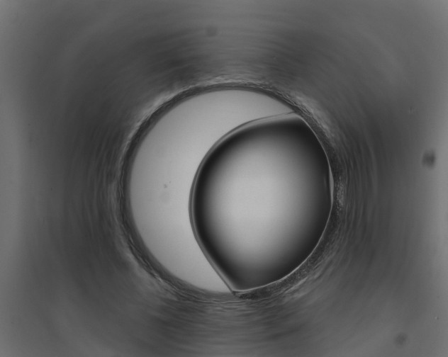 X0000094900540200711291025