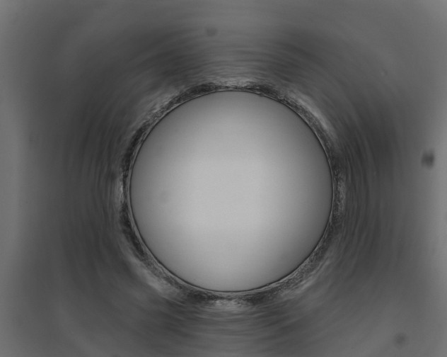 X0000094900541200711291025