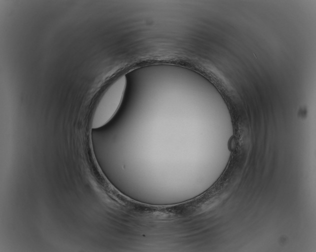 X0000094900542200711291025