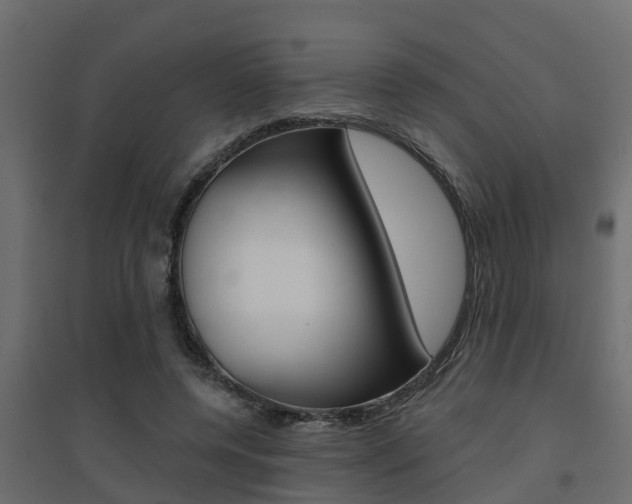 X0000094900544200711291025