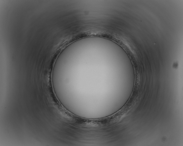 X0000094900545200711291025
