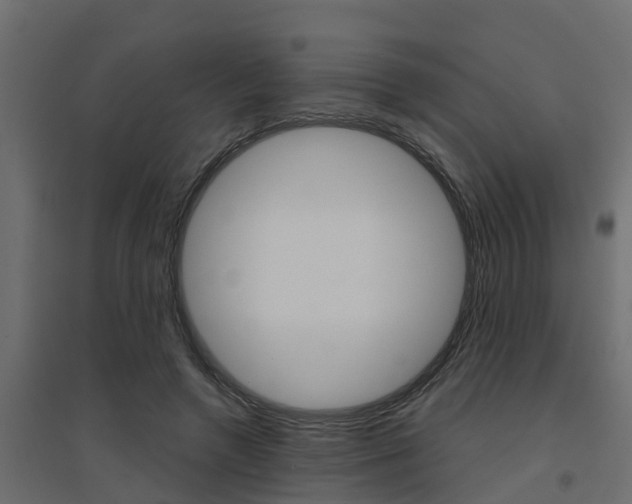 X0000094900546200711291025