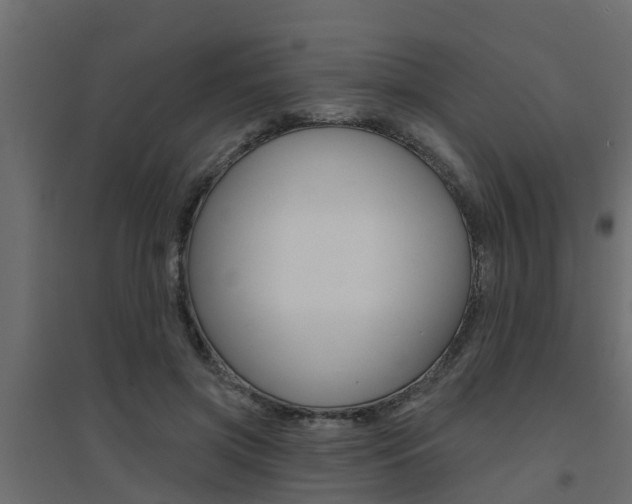 X0000094900549200711291025