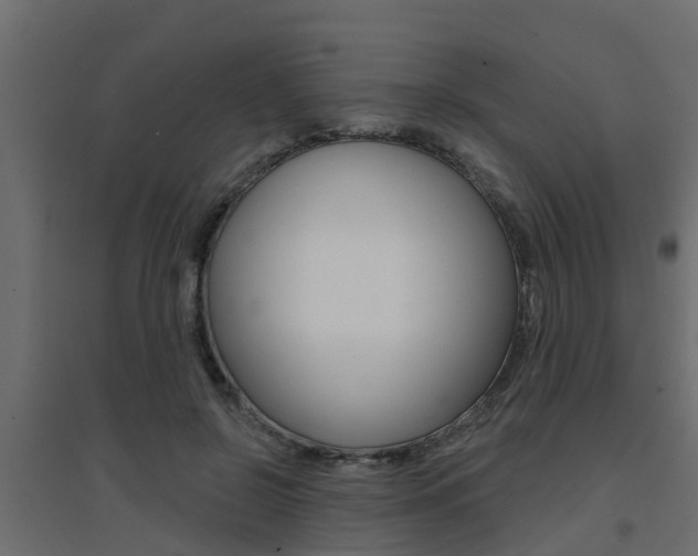 X0000094900550200711291025
